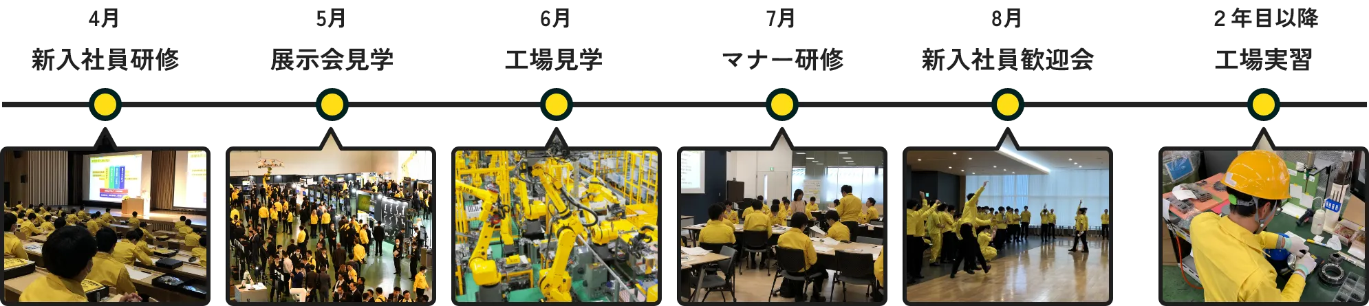 新⼊社員の1年間：図