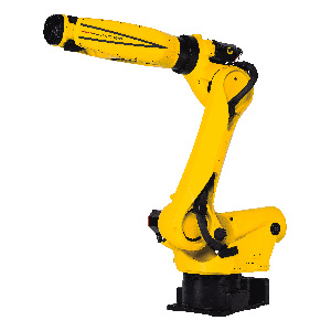 Large Size Robot