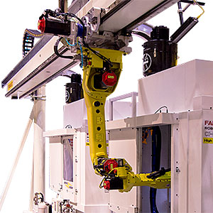 Fanuc sales gantry robot