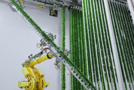 ロボットがプランナーの野菜を運んでいる写真