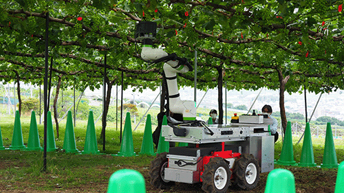 粉塵や水がかかる過酷な現場環境にも耐えるIP67の防塵・防水性能