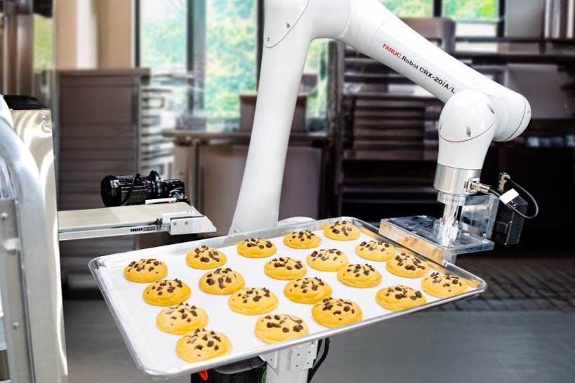 食品工場での協働ロボットによるクッキーの搬送・箱詰め