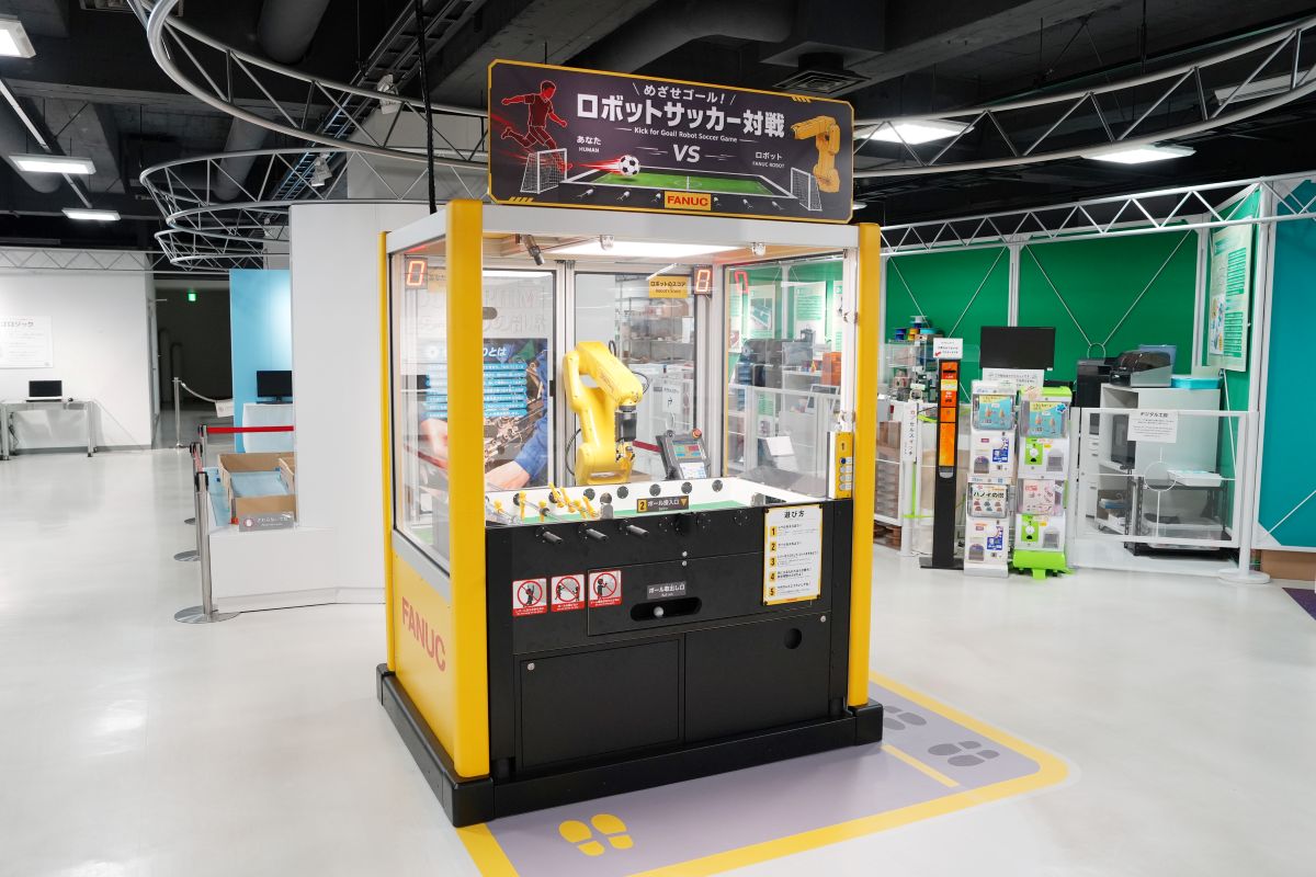 展示の様子